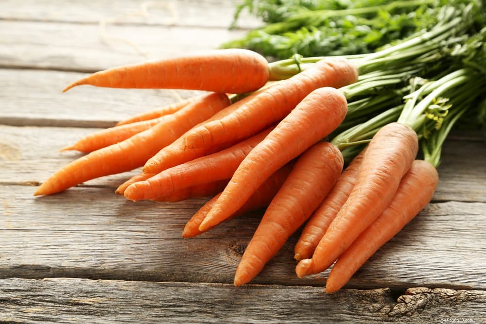 12 Safe and Nutritious Vegetables for Your Dog