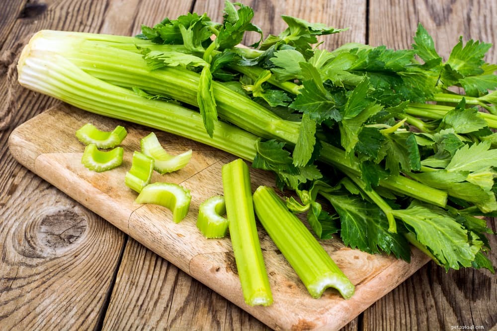 12 Safe and Nutritious Vegetables for Your Dog