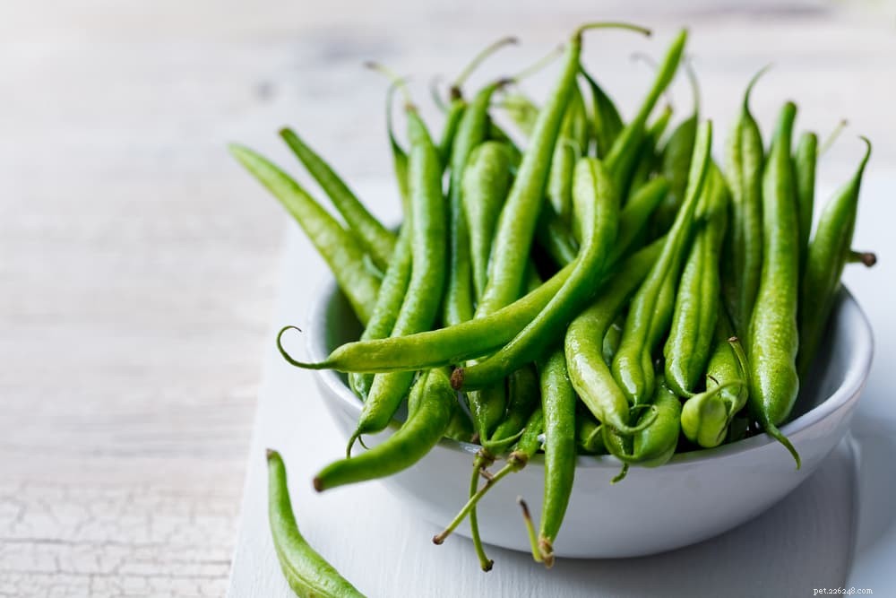 12 Safe and Nutritious Vegetables for Your Dog