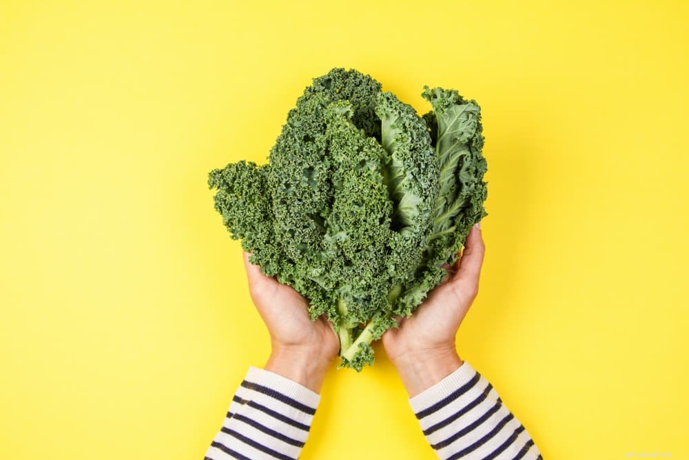 12 Safe and Nutritious Vegetables for Your Dog