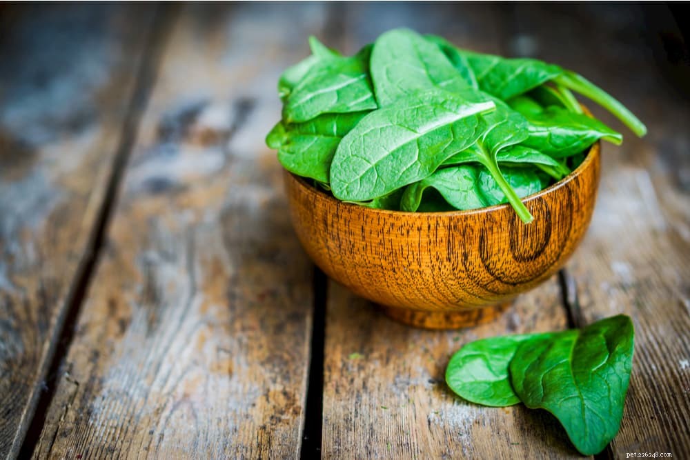 12 Safe and Nutritious Vegetables for Your Dog