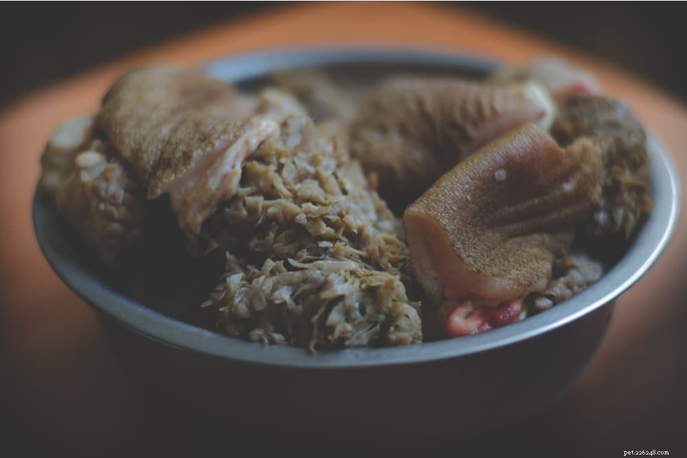Green Tripe for Dogs: Benefits, Uses, and Buying Tips