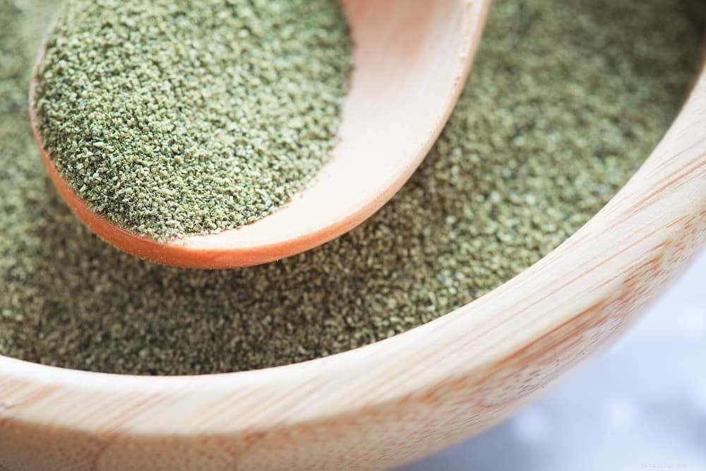 Kelp for Dogs: Proven Health Benefits & Practical Applications