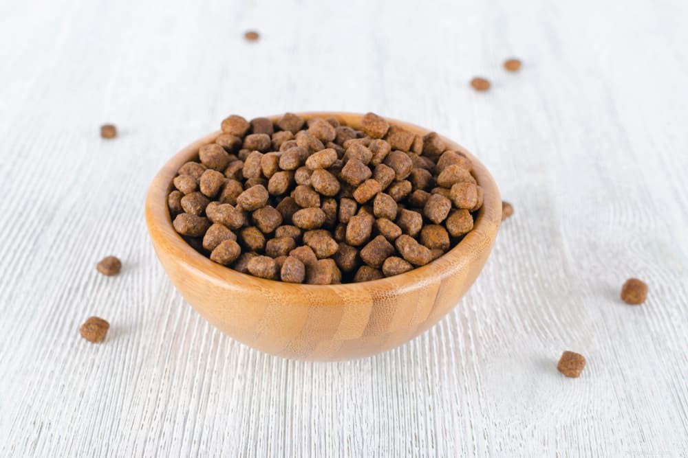 Understanding Dilated Cardiomyopathy and Dog Food: Key Insights for Pet Owners