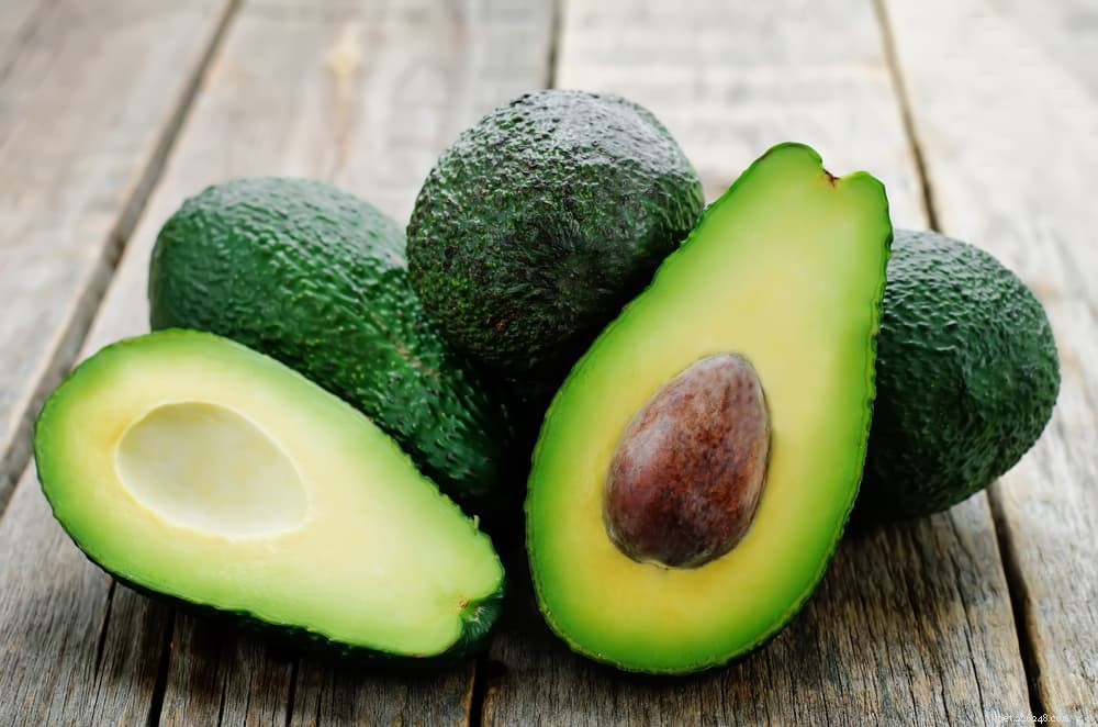 14 Foods That Are Dangerous for Dogs (And What to Avoid)