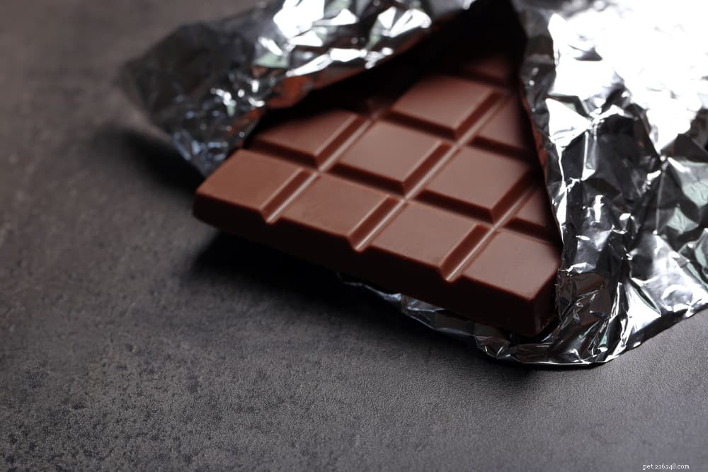 14 Foods That Are Dangerous for Dogs (And What to Avoid)