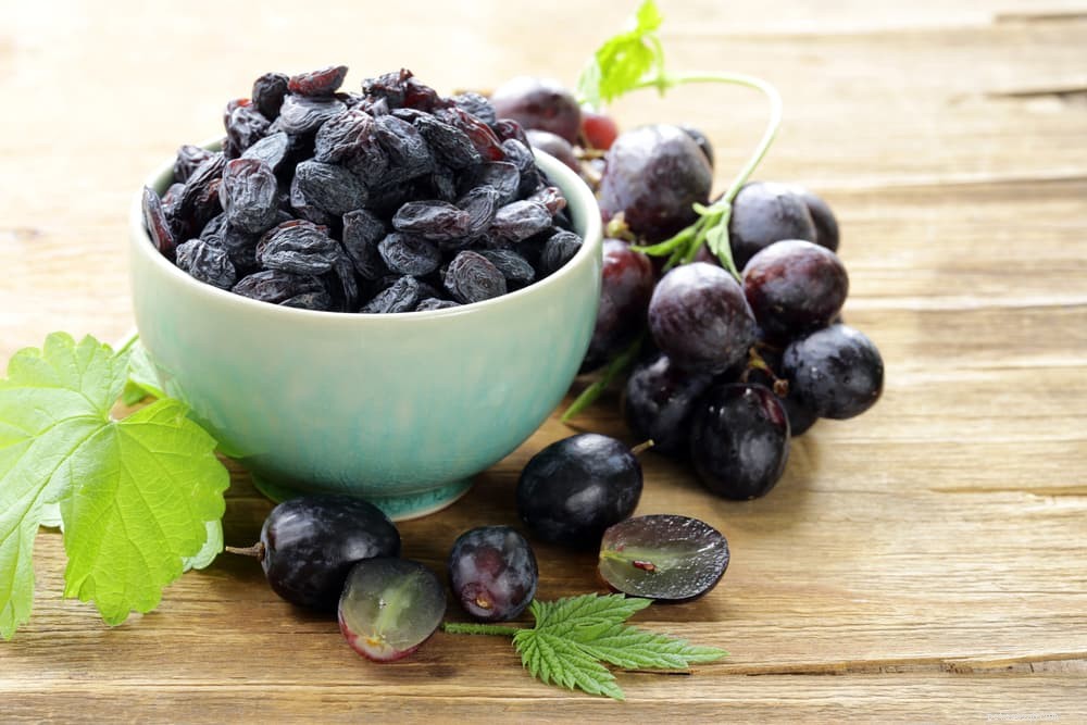 14 Foods That Are Dangerous for Dogs (And What to Avoid)