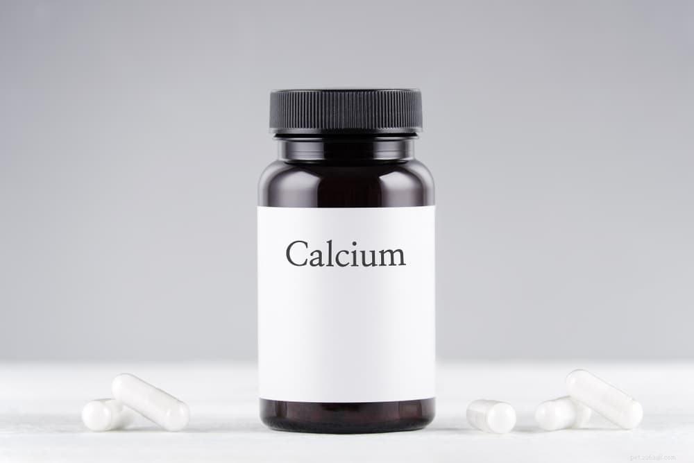 Calcium for Dogs: Why It’s Essential for Their Health