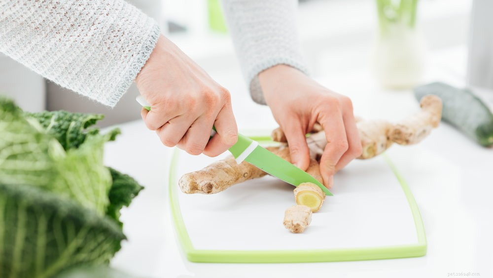 Can Dogs Safely Use Ginger? Health Benefits & Safety Guide