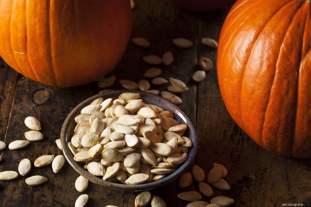 Is Pumpkin Safe for Dogs? A Comprehensive Guide