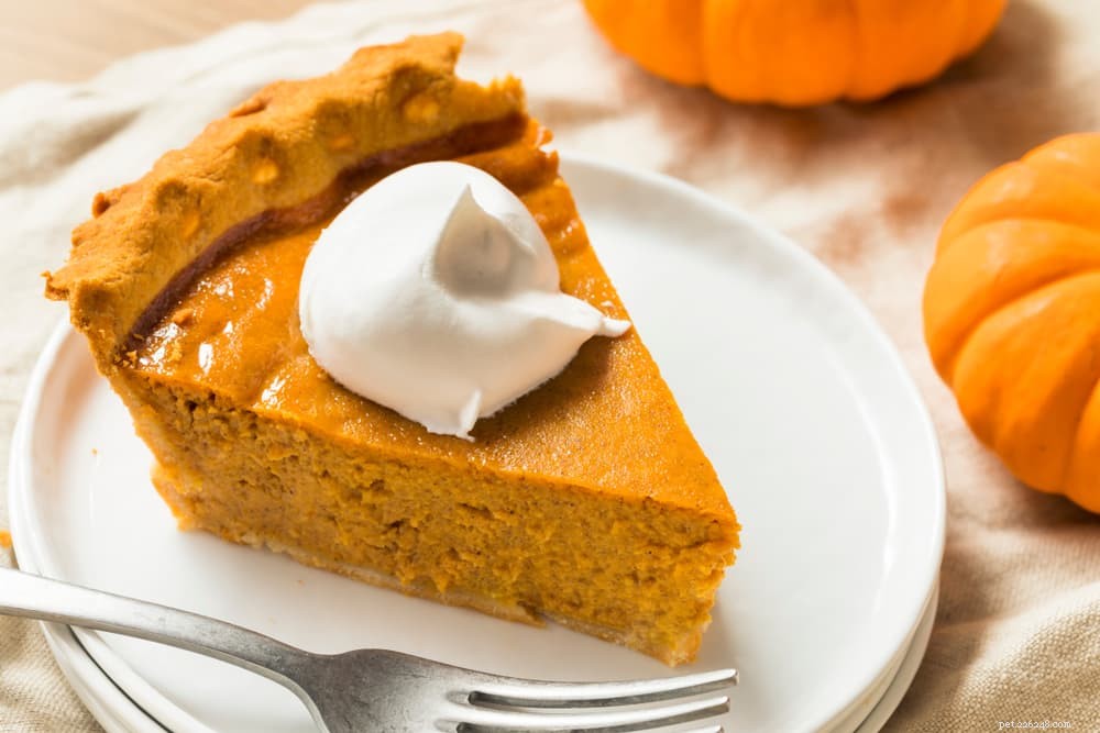 Is Pumpkin Safe for Dogs? A Comprehensive Guide