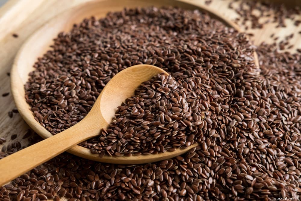 Top 10 Natural Fiber Sources to Keep Your Dog Healthy