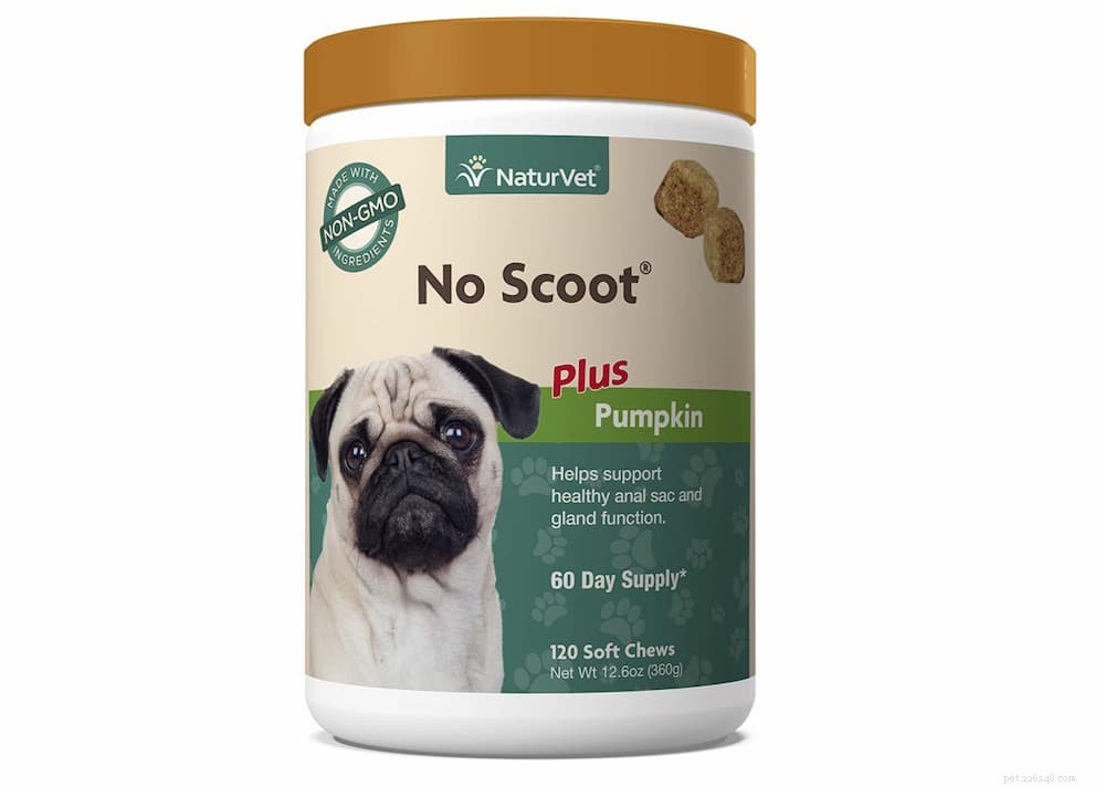 Top 10 Natural Fiber Sources to Keep Your Dog Healthy