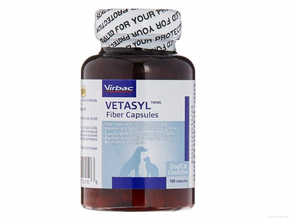 Top 10 Natural Fiber Sources to Keep Your Dog Healthy