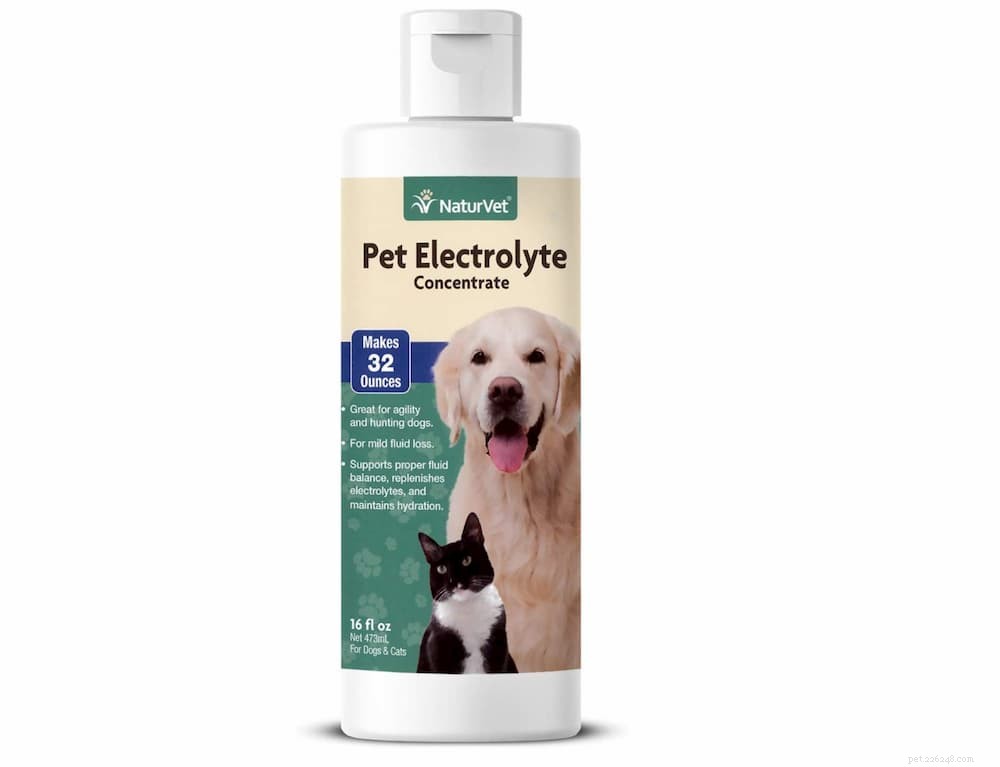 Is Pedialyte Safe for Dogs? A Vet’s Guide to Electrolyte Replenishment