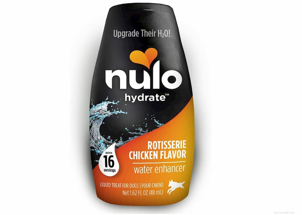 Is Pedialyte Safe for Dogs? A Vet’s Guide to Electrolyte Replenishment