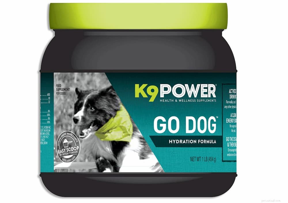 Is Pedialyte Safe for Dogs? A Vet’s Guide to Electrolyte Replenishment