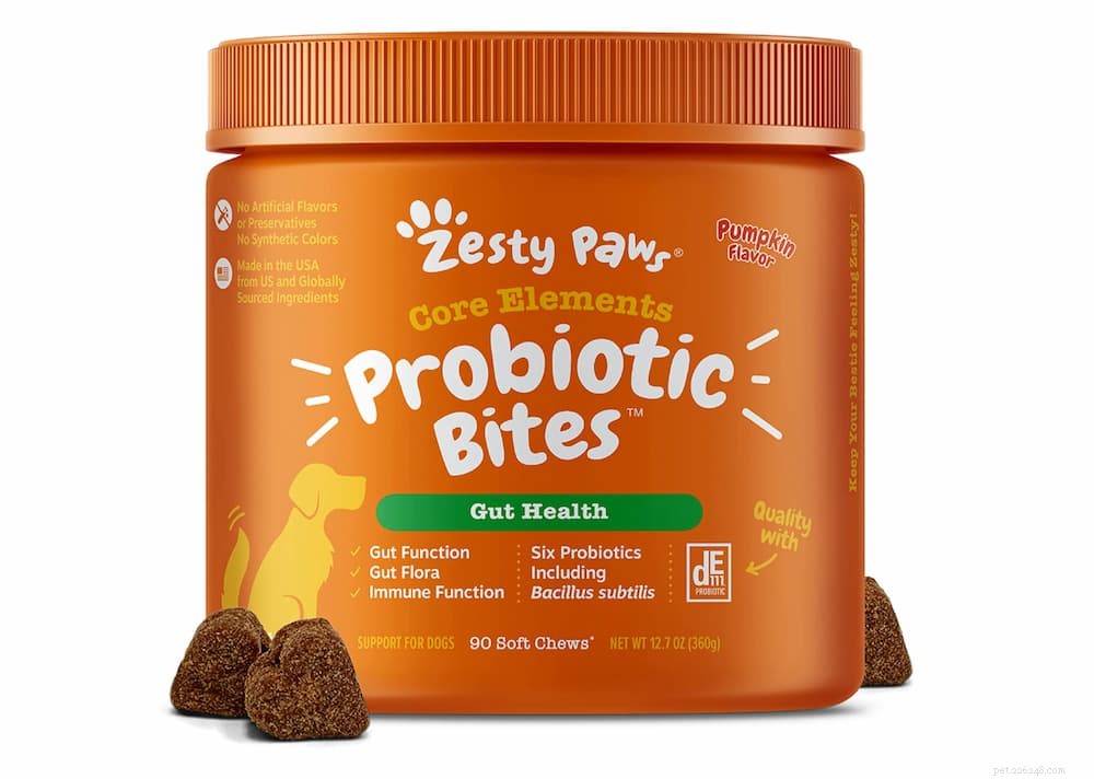 Is Pedialyte Safe for Dogs? A Vet’s Guide to Electrolyte Replenishment