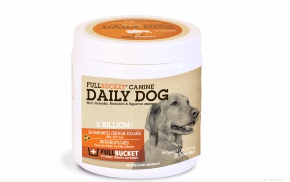 Is Pedialyte Safe for Dogs? A Vet’s Guide to Electrolyte Replenishment