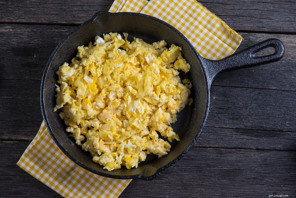 Are Eggs Safe for Dogs? A Guide to Raw, Cooked, and Egg Shell Consumption
