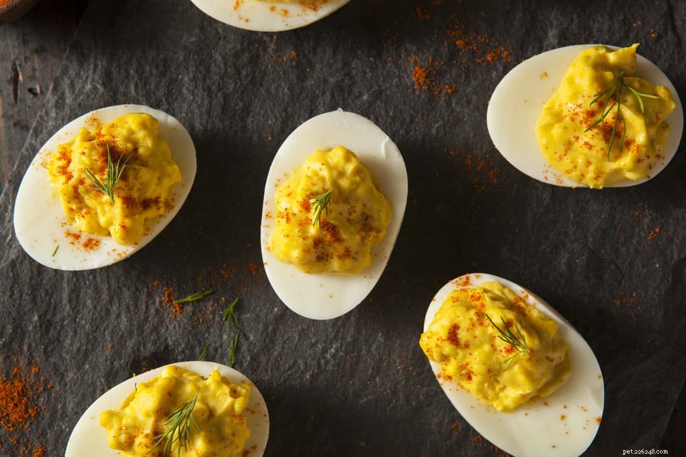 Are Eggs Safe for Dogs? A Guide to Raw, Cooked, and Egg Shell Consumption