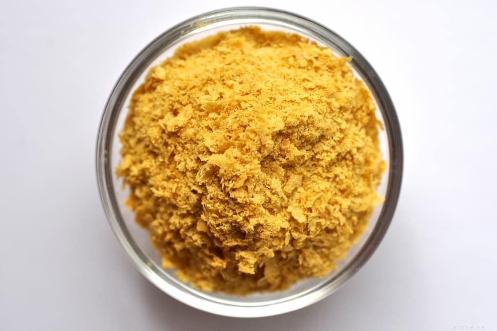 Nutritional Yeast for Dogs: Proven Health Benefits & Practical Uses