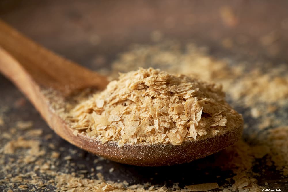Nutritional Yeast for Dogs: Proven Health Benefits & Practical Uses