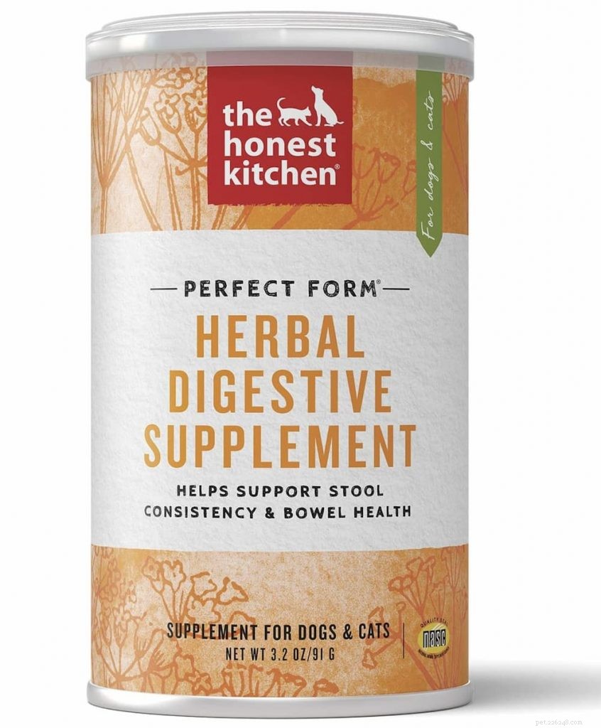 Dog Digestion Explained: A Complete Guide for Pet Owners