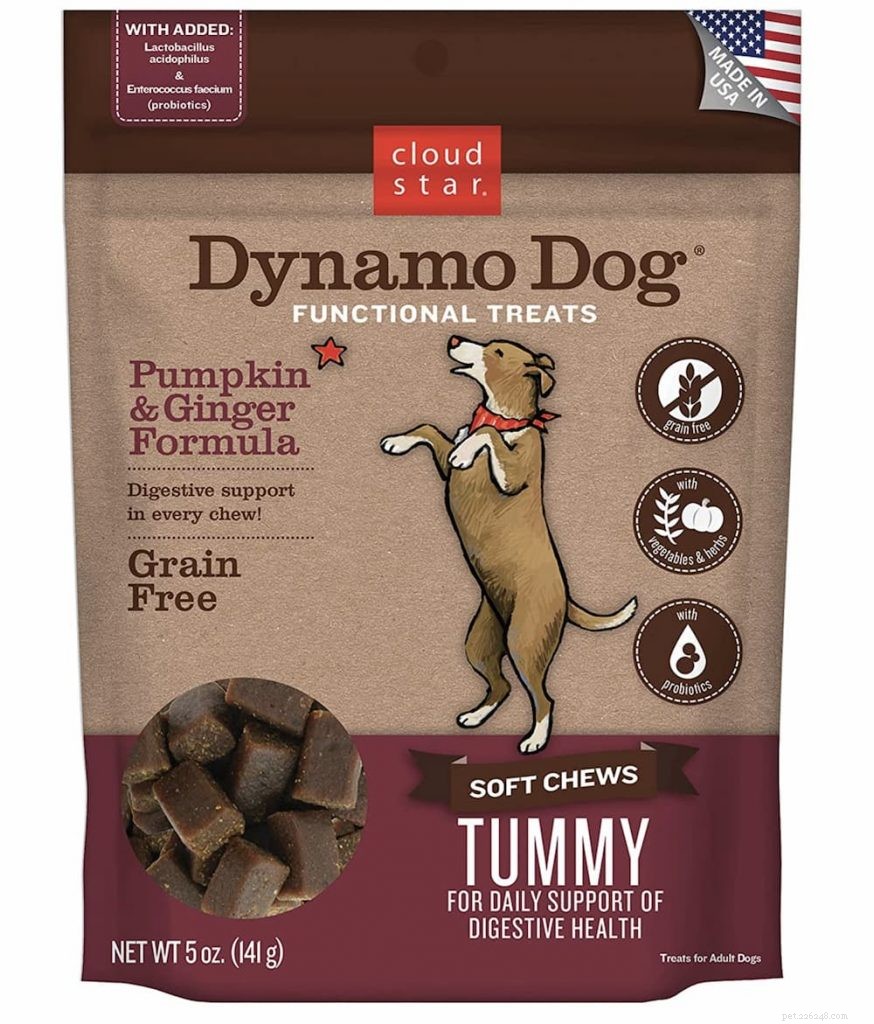 Dog Digestion Explained: A Complete Guide for Pet Owners