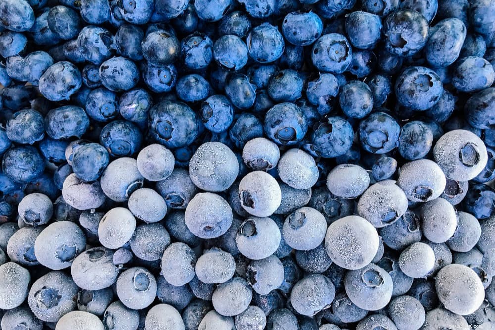 Are Blueberries Safe for Dogs? Health Benefits & Feeding Tips