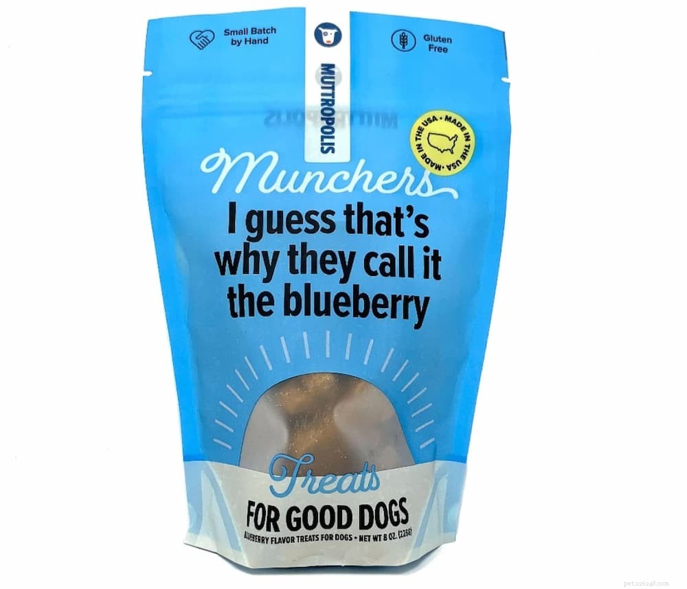 Are Blueberries Safe for Dogs? Health Benefits & Feeding Tips