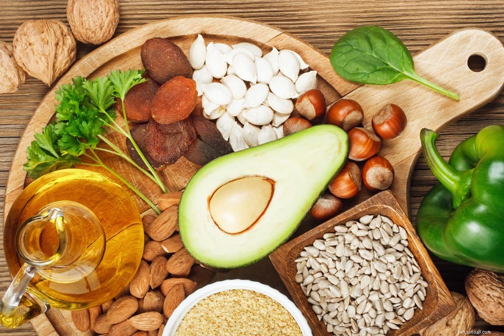 Vitamin E for Dogs: Health Benefits, Uses, and Administration Tips