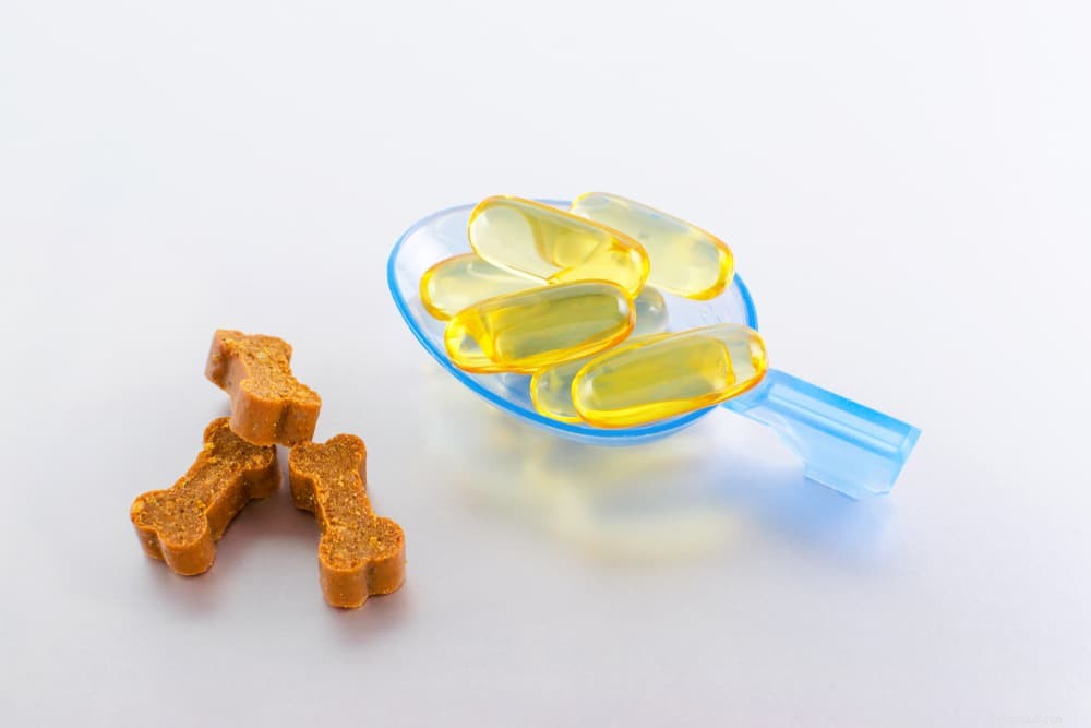 Vitamin E for Dogs: Health Benefits, Uses, and Administration Tips
