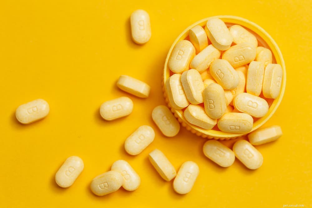 Are Dog Vitamins Essential? A Comprehensive Guide
