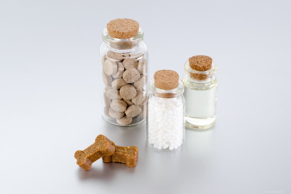 Are Dog Vitamins Essential? A Comprehensive Guide