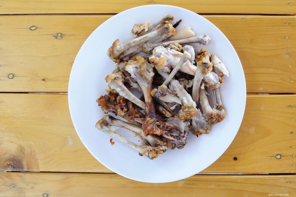 Are Bones Safe for Dogs? Expert Insights & Safety Tips