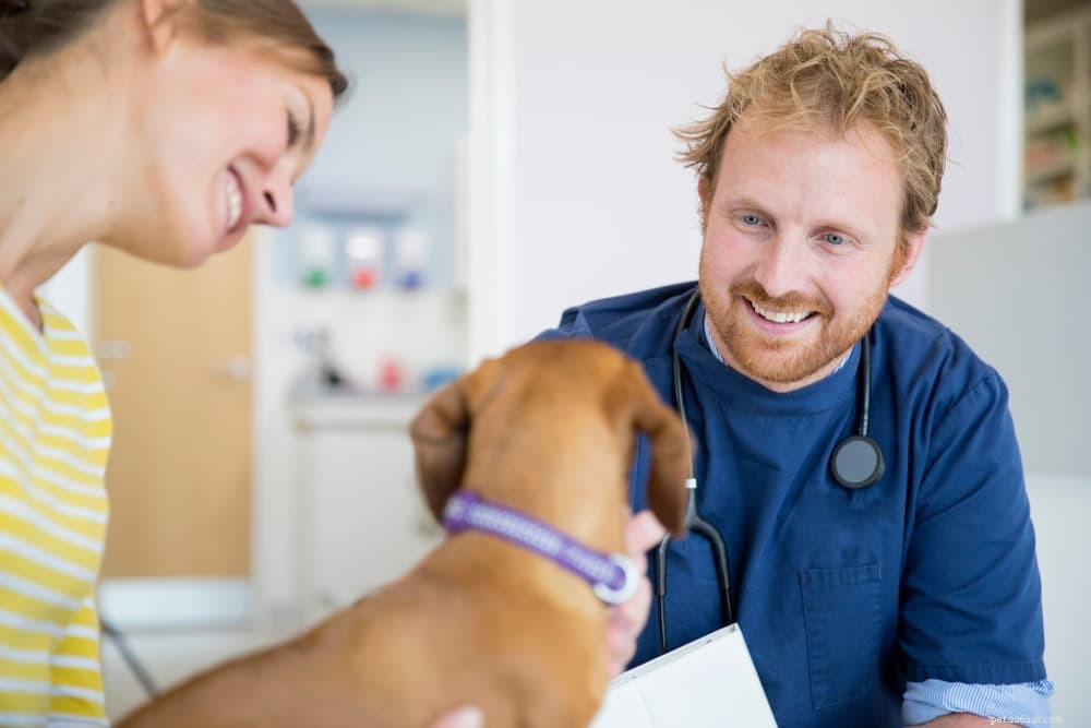Are Bones Safe for Dogs? Expert Insights & Safety Tips
