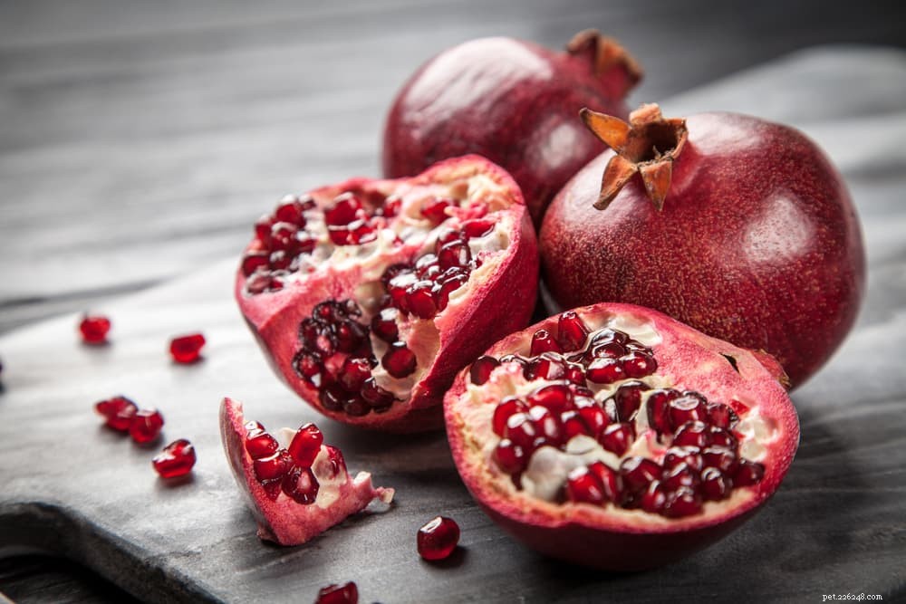Are Pomegranates Safe for Dogs? Expert Insights & Health Benefits