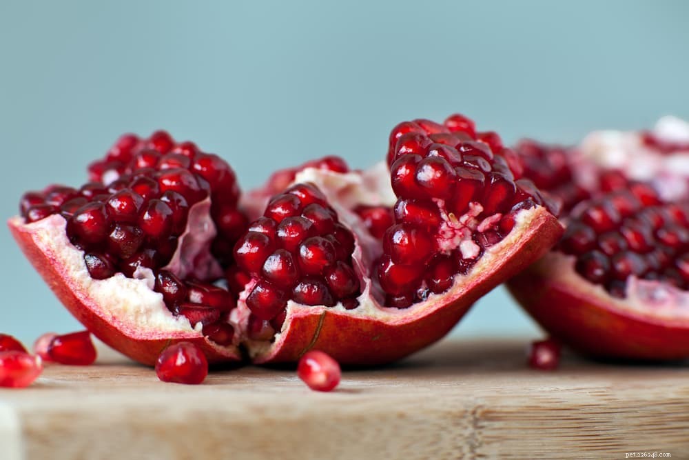 Are Pomegranates Safe for Dogs? Expert Insights & Health Benefits