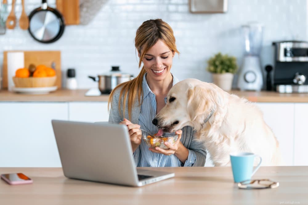 Can Dogs Safely Eat Papaya? Expert Guide