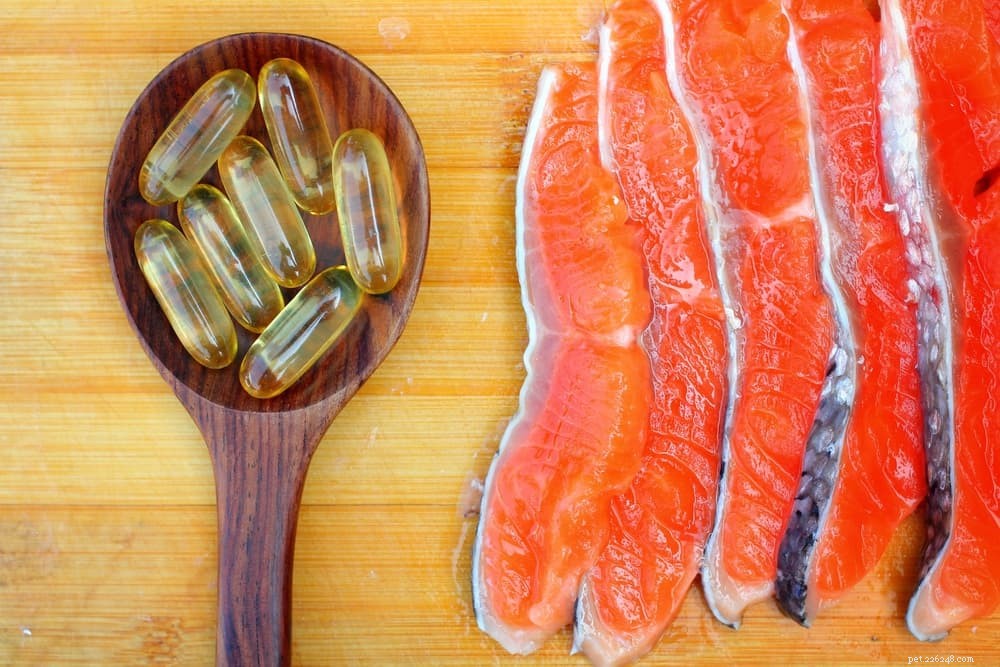 Can Dogs Safely Enjoy Salmon? Health Benefits & Feeding Tips