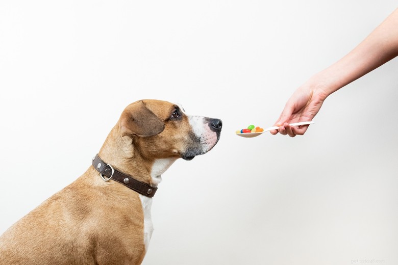 Essential Vitamins & Minerals for Optimal Dog Health