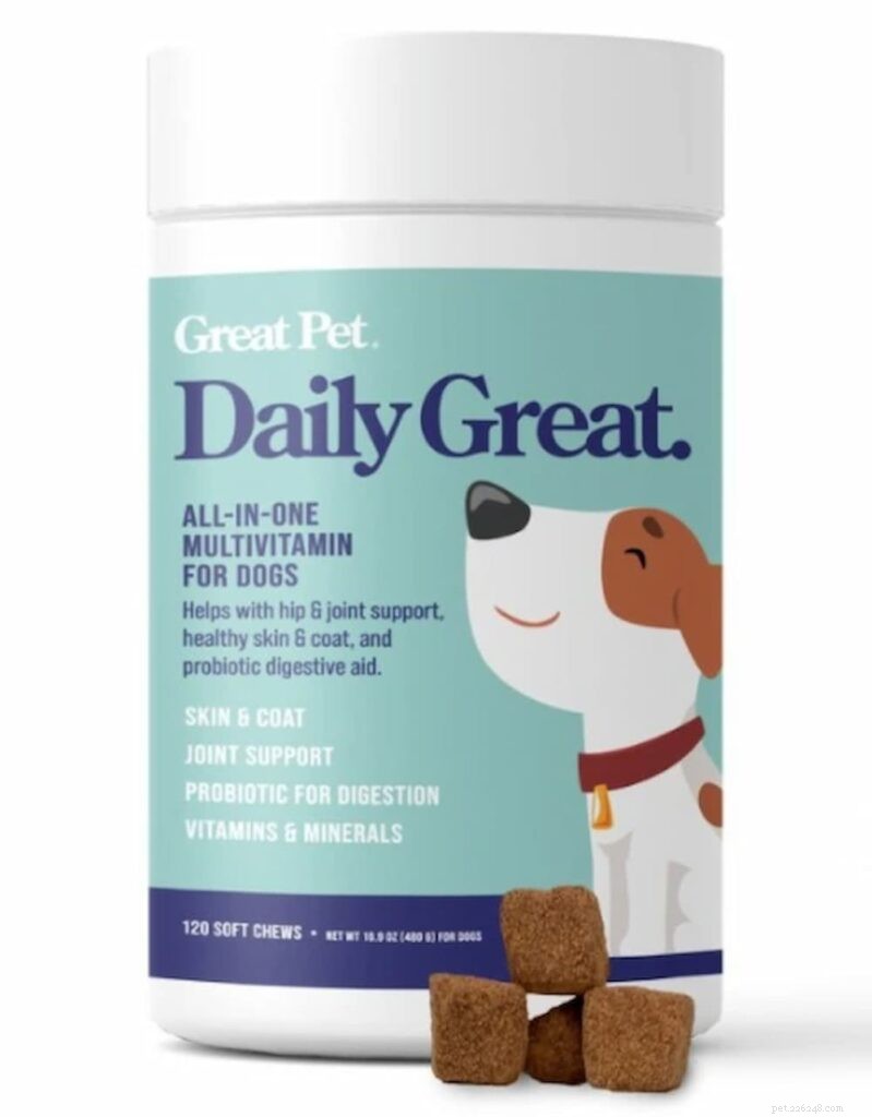 Essential Vitamins & Minerals for Optimal Dog Health