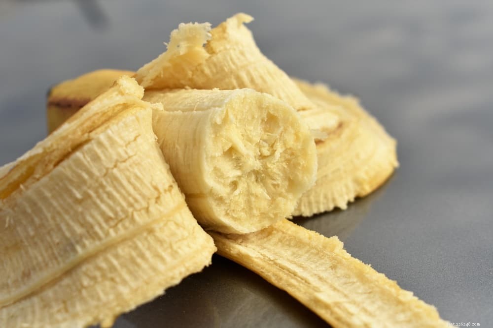 Are Bananas Safe for Cats? A Comprehensive Guide