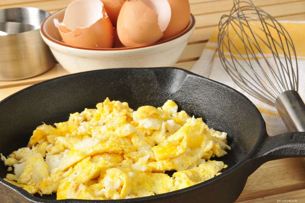 Can Cats Safely Eat Eggs? Nutritional Benefits & Risks Explained
