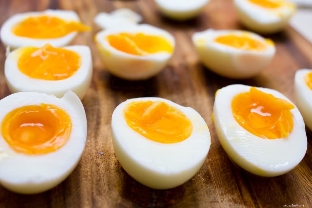 Can Cats Safely Eat Eggs? Nutritional Benefits & Risks Explained