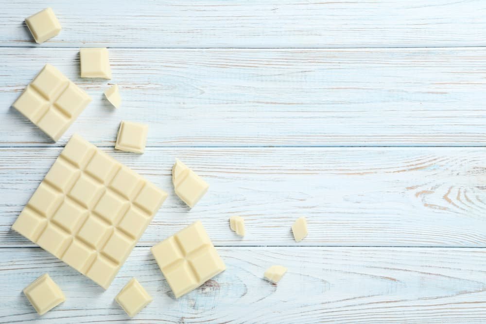 Is Chocolate Safe for Cats? What You Need to Know