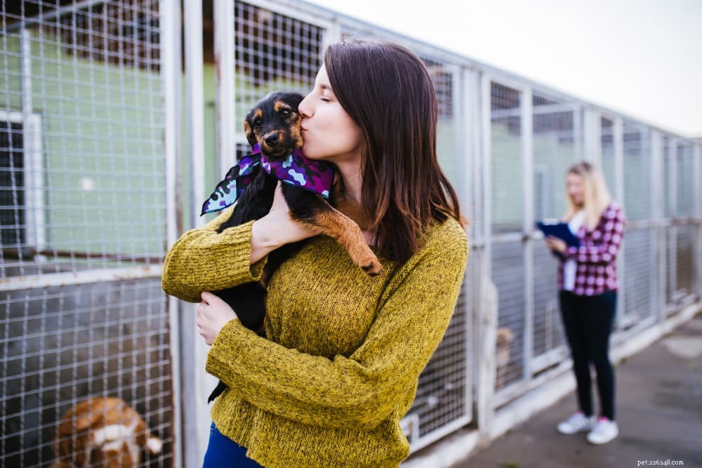 6 Dog Breeds That Suffer from Separation Anxiety: Proven Ways to Help Them