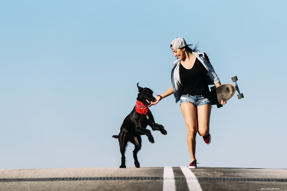 50 Trendy Dog Names for the Modern Pup
