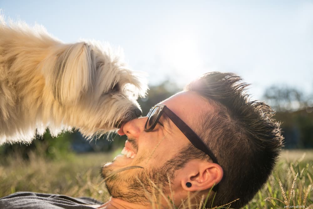 50 Trendy Dog Names for the Modern Pup